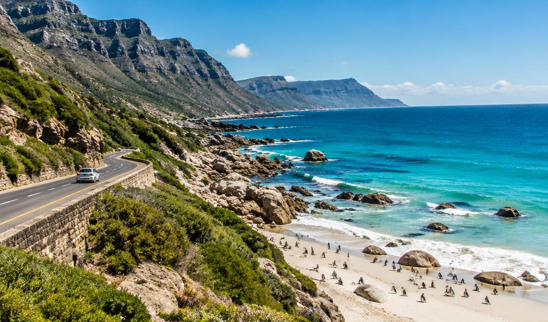 Cape Peninsula Private Tour